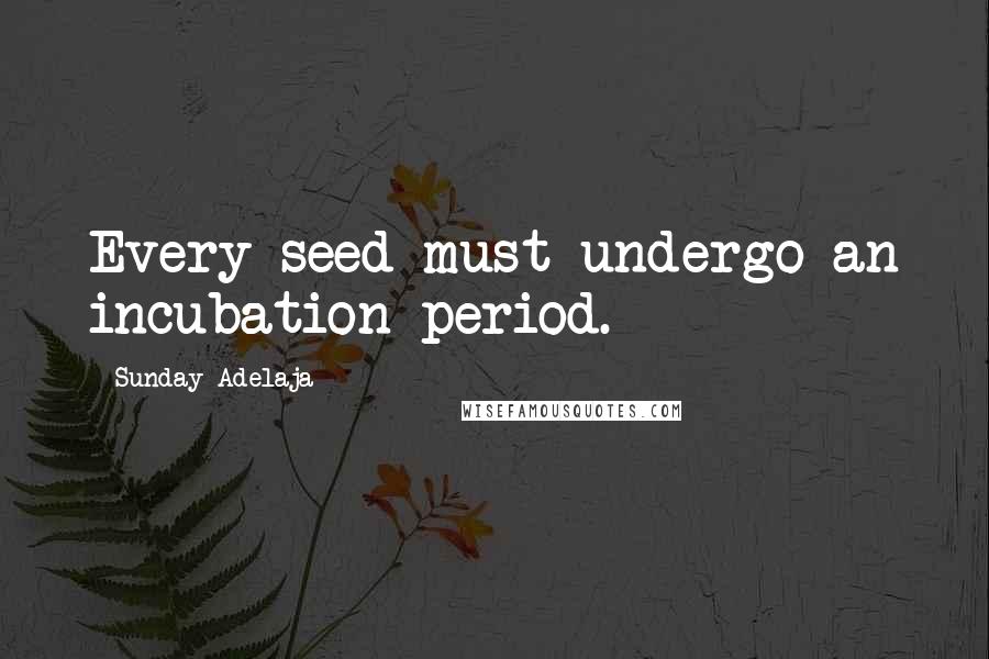 Sunday Adelaja Quotes: Every seed must undergo an incubation period.