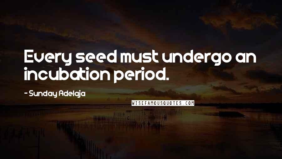 Sunday Adelaja Quotes: Every seed must undergo an incubation period.