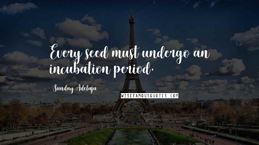 Sunday Adelaja Quotes: Every seed must undergo an incubation period.