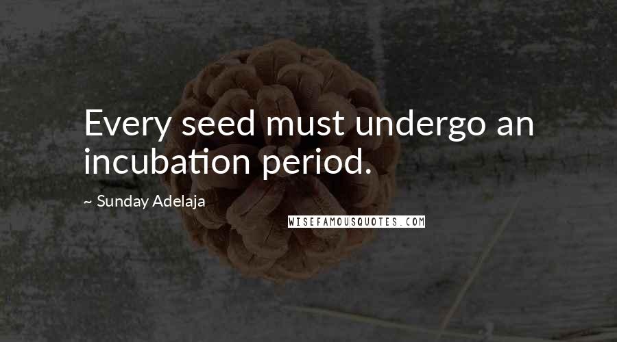 Sunday Adelaja Quotes: Every seed must undergo an incubation period.