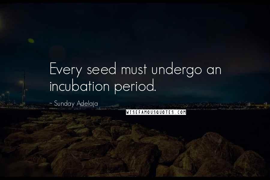 Sunday Adelaja Quotes: Every seed must undergo an incubation period.