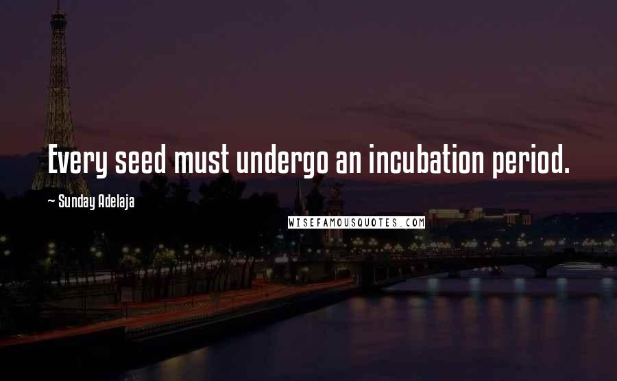 Sunday Adelaja Quotes: Every seed must undergo an incubation period.