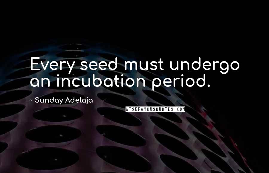 Sunday Adelaja Quotes: Every seed must undergo an incubation period.