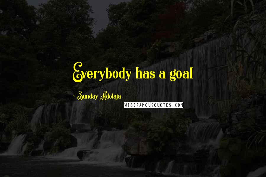 Sunday Adelaja Quotes: Everybody has a goal