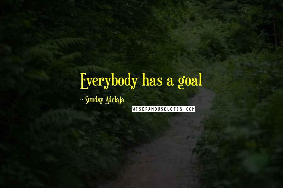 Sunday Adelaja Quotes: Everybody has a goal