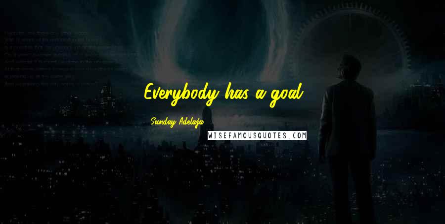 Sunday Adelaja Quotes: Everybody has a goal