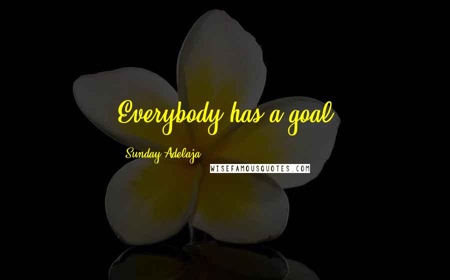 Sunday Adelaja Quotes: Everybody has a goal