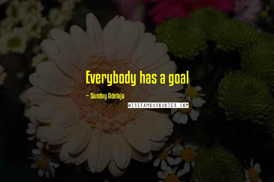 Sunday Adelaja Quotes: Everybody has a goal