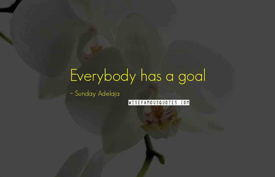 Sunday Adelaja Quotes: Everybody has a goal