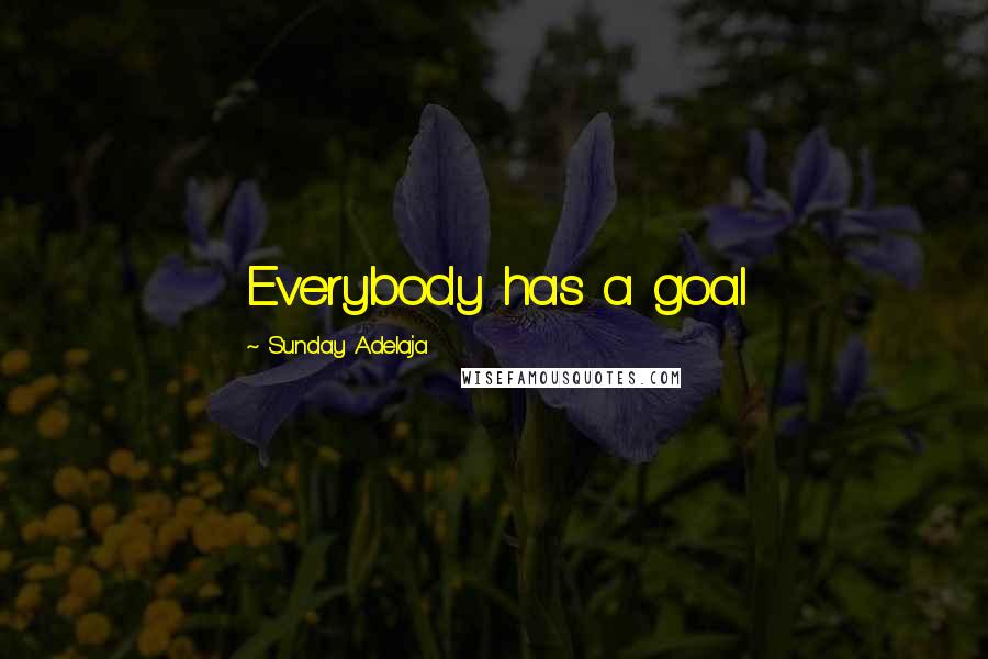 Sunday Adelaja Quotes: Everybody has a goal