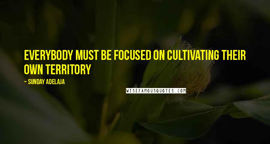 Sunday Adelaja Quotes: Everybody must be focused on cultivating their own territory