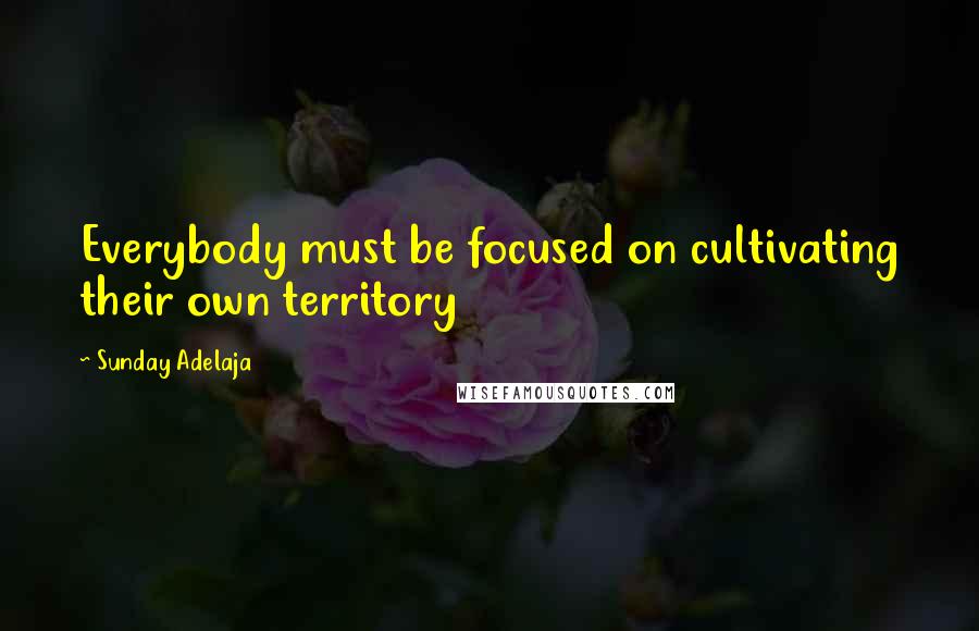 Sunday Adelaja Quotes: Everybody must be focused on cultivating their own territory