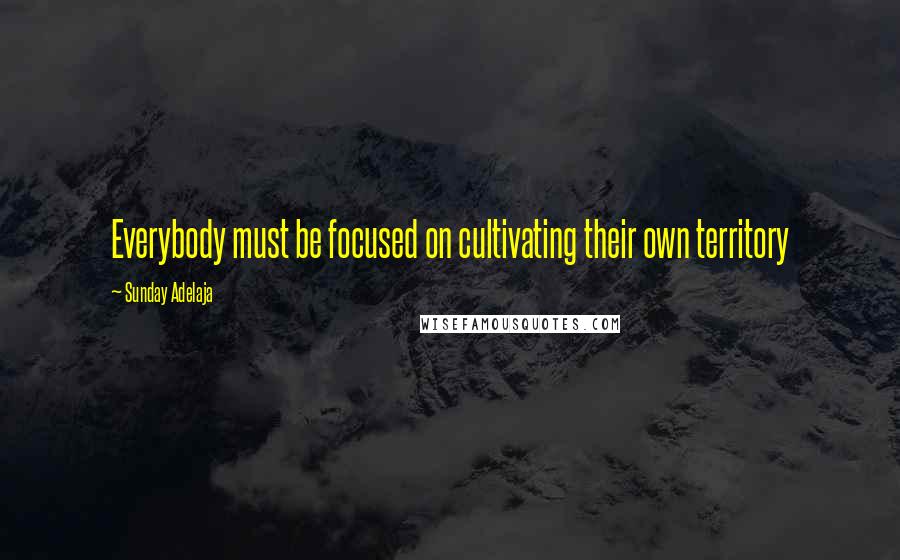 Sunday Adelaja Quotes: Everybody must be focused on cultivating their own territory