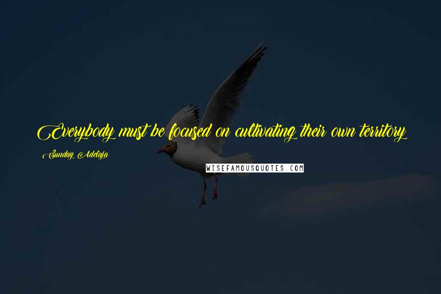 Sunday Adelaja Quotes: Everybody must be focused on cultivating their own territory