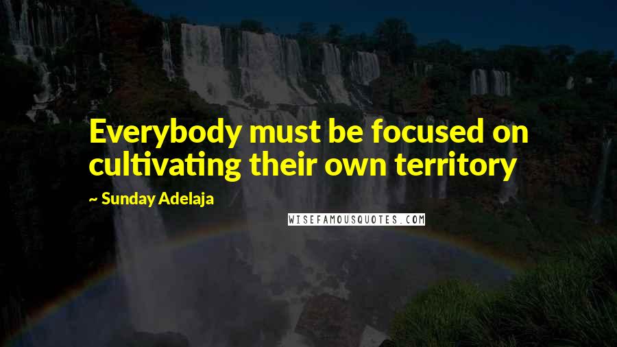Sunday Adelaja Quotes: Everybody must be focused on cultivating their own territory