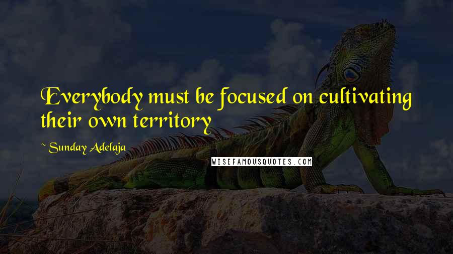 Sunday Adelaja Quotes: Everybody must be focused on cultivating their own territory