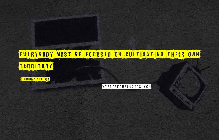 Sunday Adelaja Quotes: Everybody must be focused on cultivating their own territory