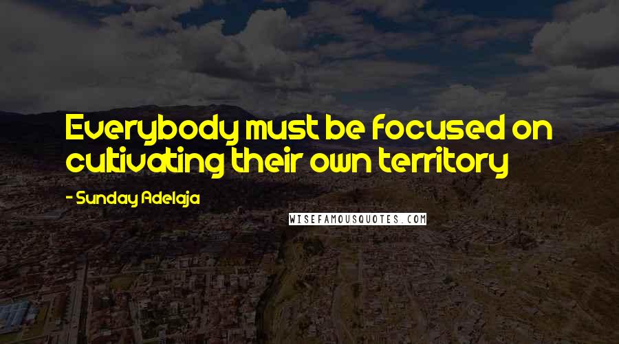 Sunday Adelaja Quotes: Everybody must be focused on cultivating their own territory