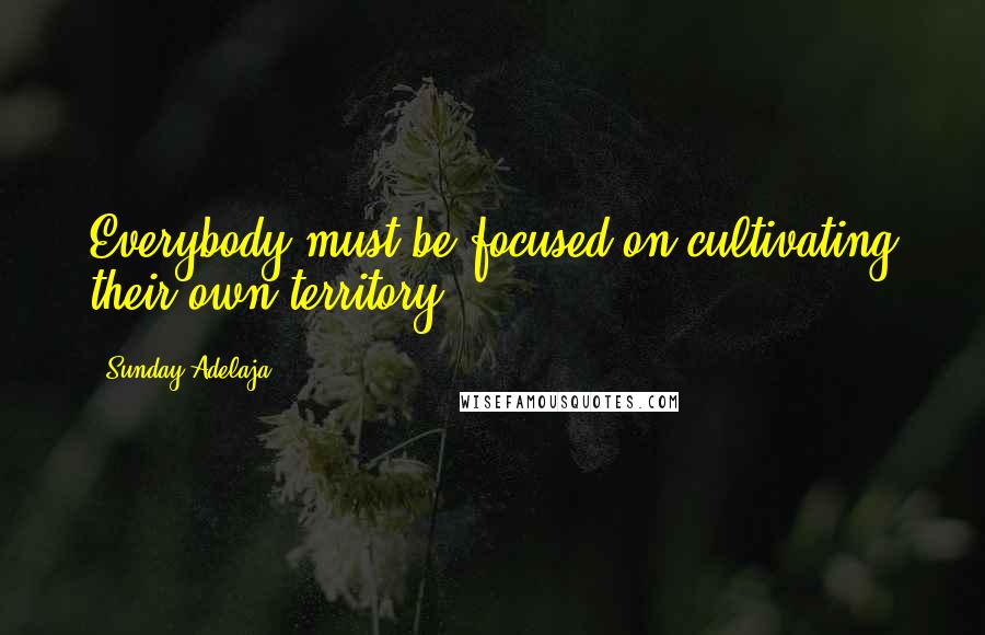 Sunday Adelaja Quotes: Everybody must be focused on cultivating their own territory
