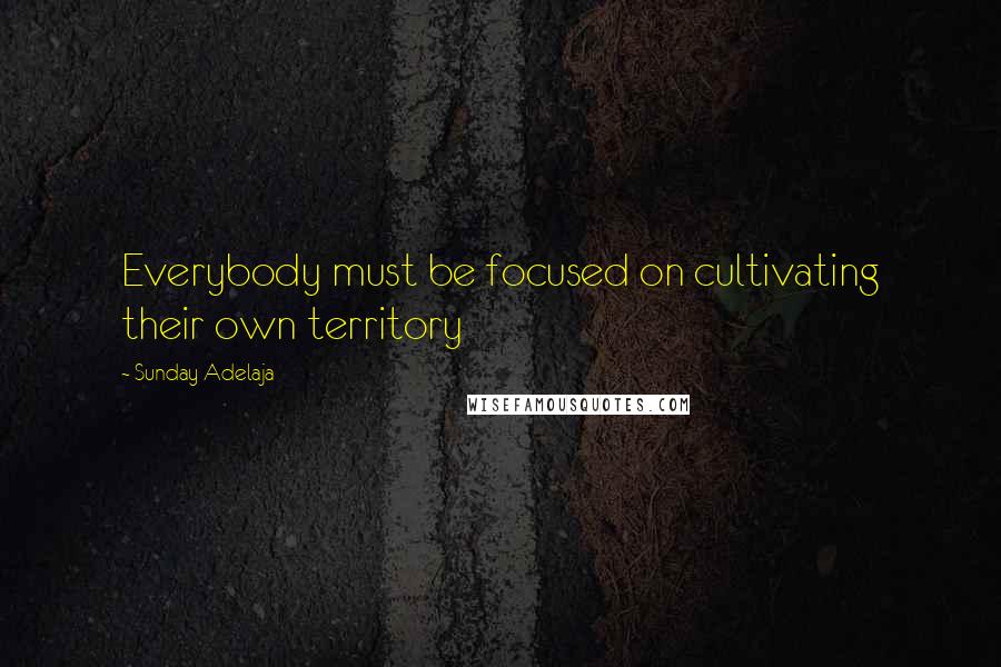 Sunday Adelaja Quotes: Everybody must be focused on cultivating their own territory