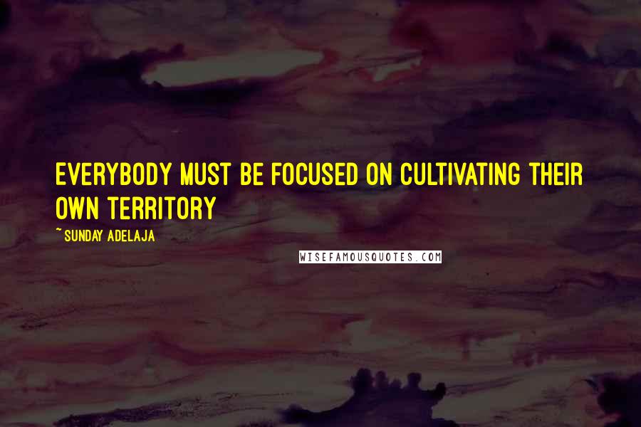 Sunday Adelaja Quotes: Everybody must be focused on cultivating their own territory