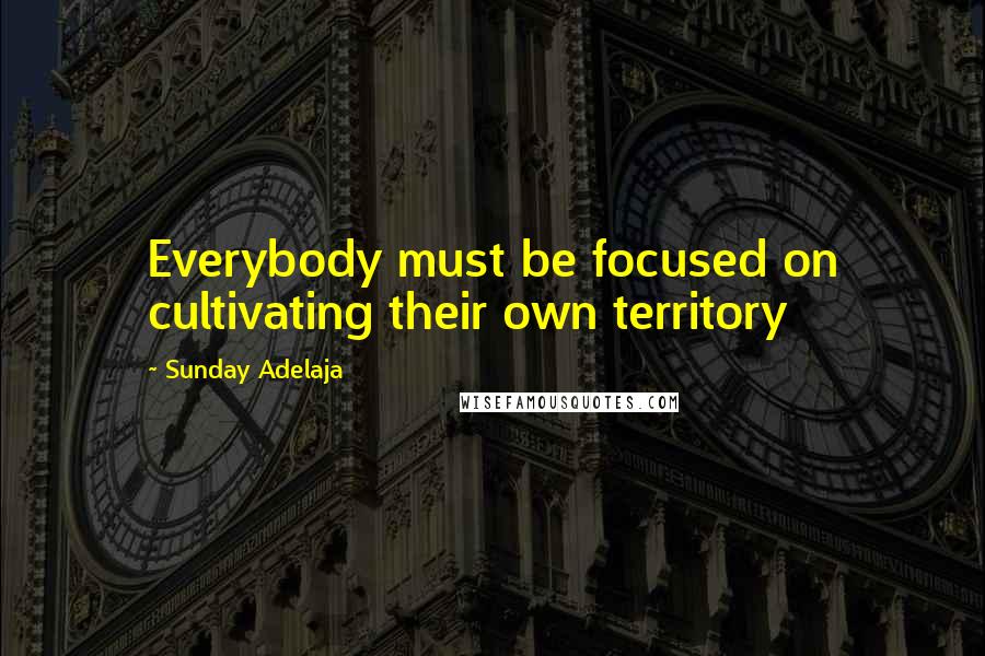 Sunday Adelaja Quotes: Everybody must be focused on cultivating their own territory