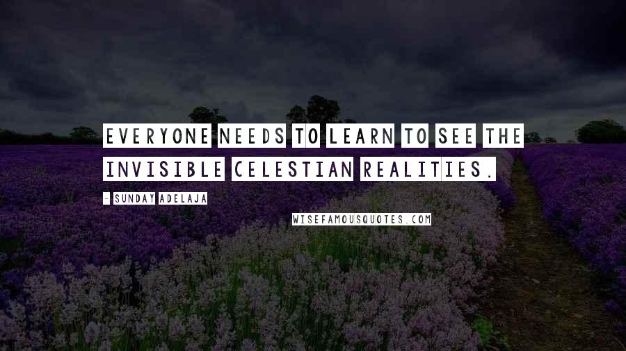 Sunday Adelaja Quotes: Everyone needs to learn to see the invisible celestian realities.