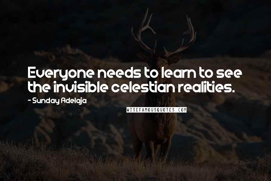 Sunday Adelaja Quotes: Everyone needs to learn to see the invisible celestian realities.