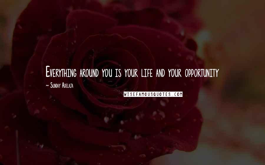 Sunday Adelaja Quotes: Everything around you is your life and your opportunity