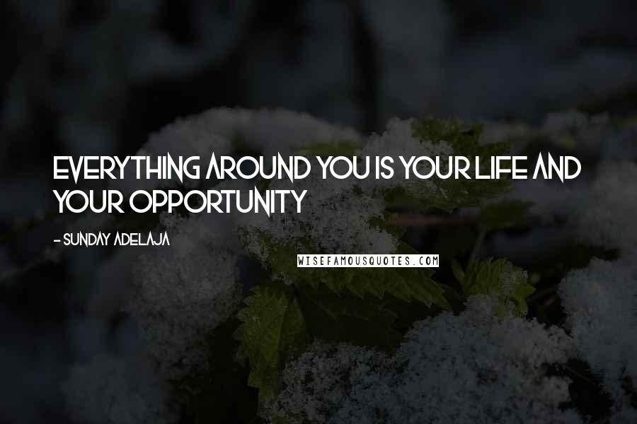 Sunday Adelaja Quotes: Everything around you is your life and your opportunity