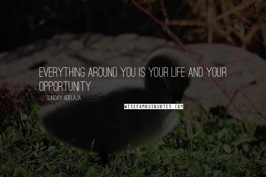 Sunday Adelaja Quotes: Everything around you is your life and your opportunity