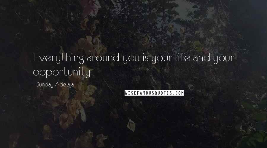 Sunday Adelaja Quotes: Everything around you is your life and your opportunity