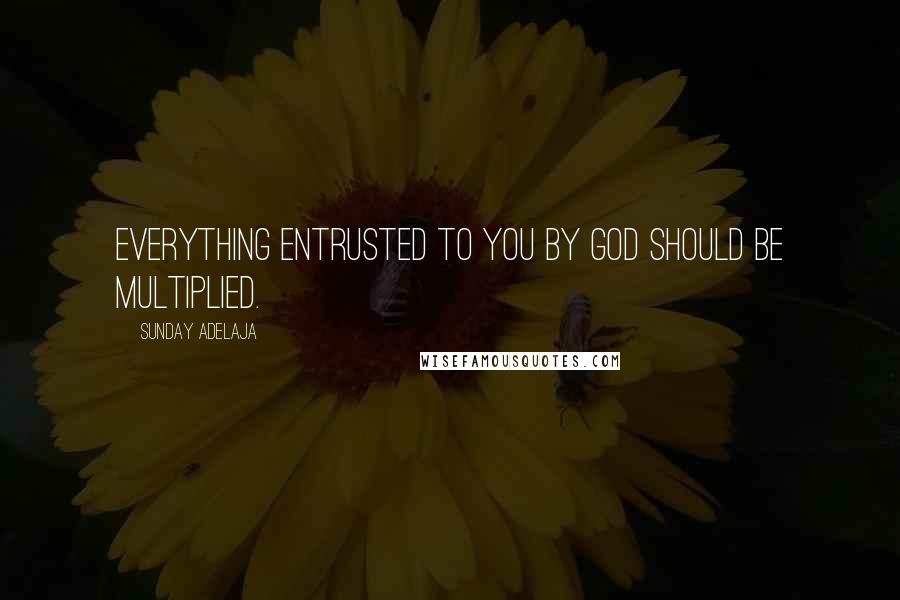 Sunday Adelaja Quotes: Everything entrusted to you by God should be multiplied.