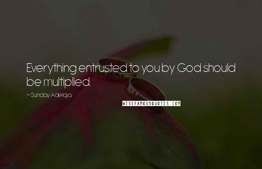 Sunday Adelaja Quotes: Everything entrusted to you by God should be multiplied.