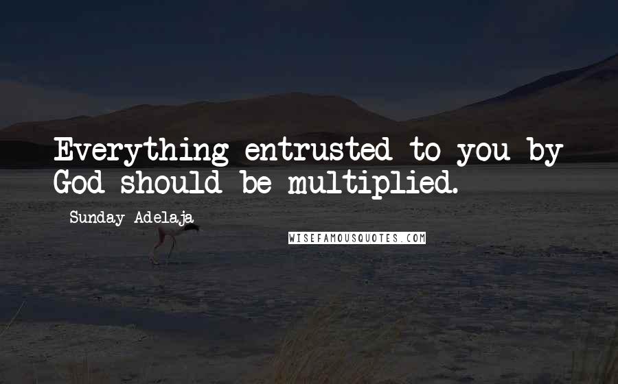 Sunday Adelaja Quotes: Everything entrusted to you by God should be multiplied.