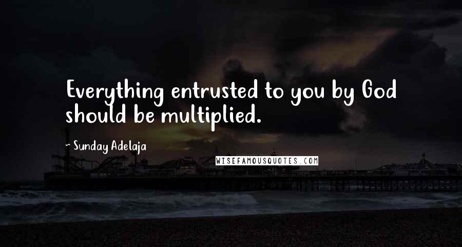 Sunday Adelaja Quotes: Everything entrusted to you by God should be multiplied.