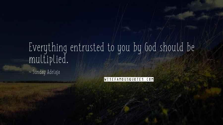 Sunday Adelaja Quotes: Everything entrusted to you by God should be multiplied.