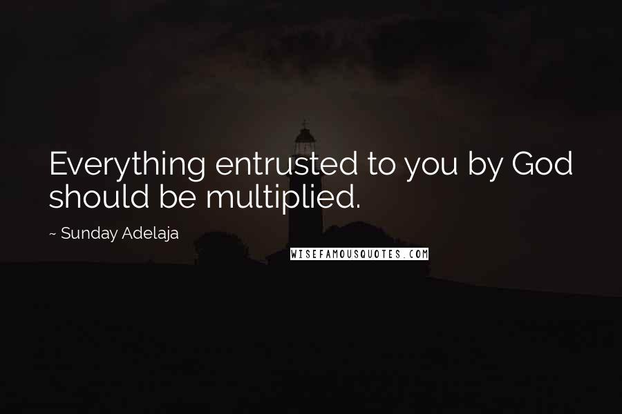 Sunday Adelaja Quotes: Everything entrusted to you by God should be multiplied.