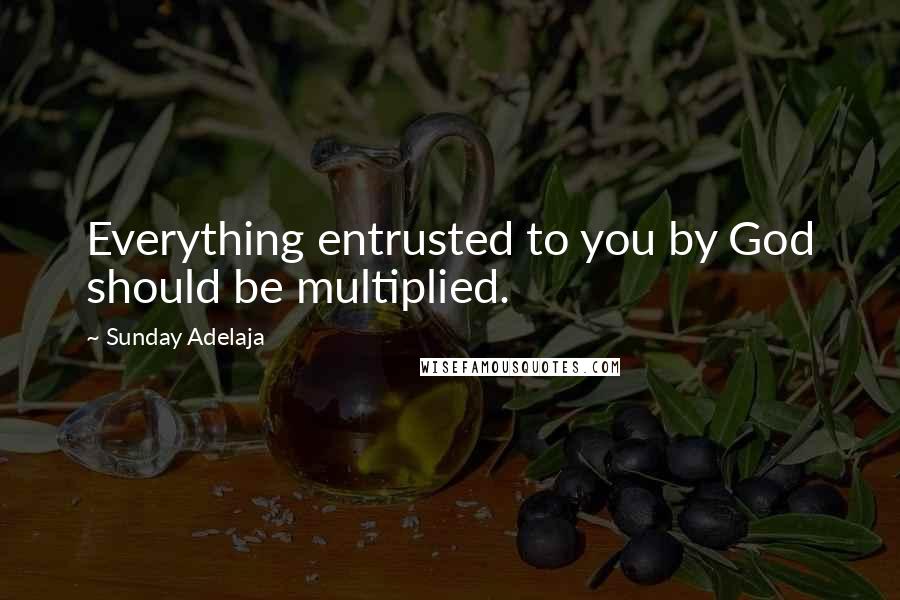 Sunday Adelaja Quotes: Everything entrusted to you by God should be multiplied.