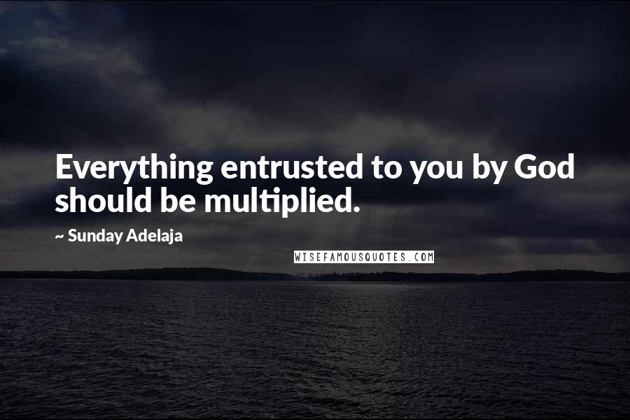 Sunday Adelaja Quotes: Everything entrusted to you by God should be multiplied.