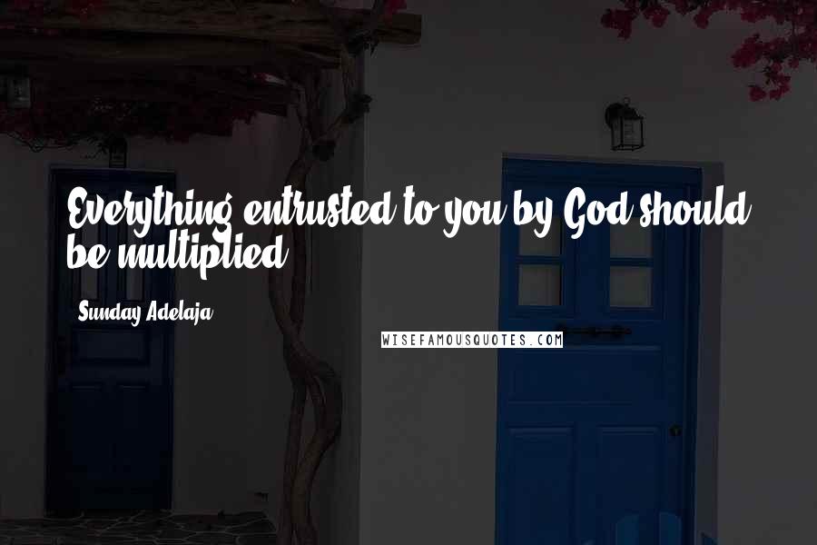 Sunday Adelaja Quotes: Everything entrusted to you by God should be multiplied.