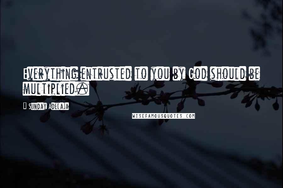 Sunday Adelaja Quotes: Everything entrusted to you by God should be multiplied.