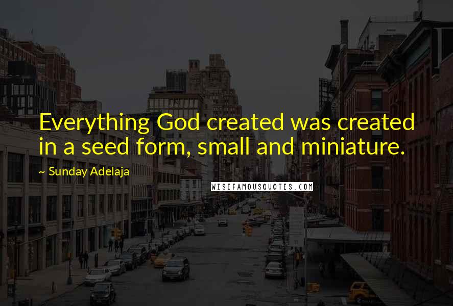 Sunday Adelaja Quotes: Everything God created was created in a seed form, small and miniature.