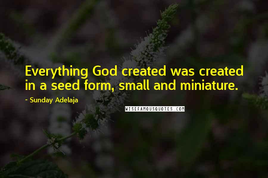 Sunday Adelaja Quotes: Everything God created was created in a seed form, small and miniature.