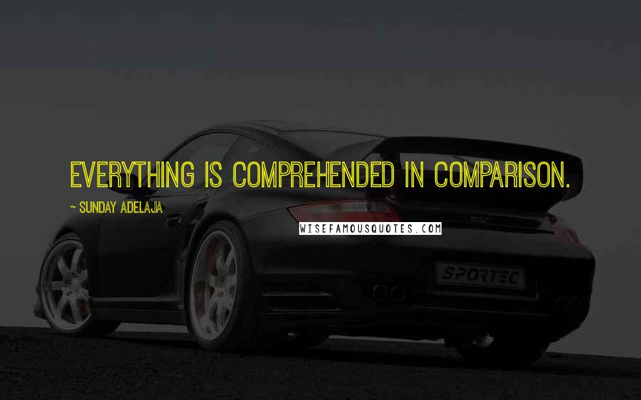 Sunday Adelaja Quotes: Everything is comprehended in comparison.