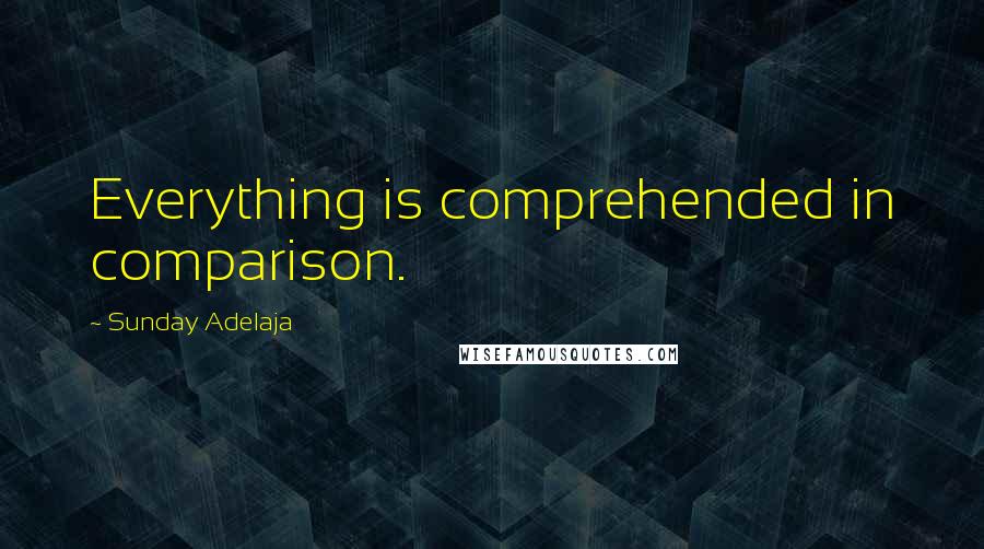 Sunday Adelaja Quotes: Everything is comprehended in comparison.