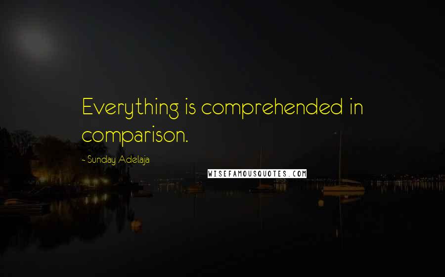 Sunday Adelaja Quotes: Everything is comprehended in comparison.