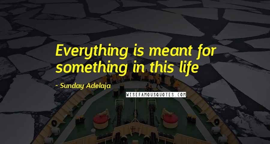 Sunday Adelaja Quotes: Everything is meant for something in this life