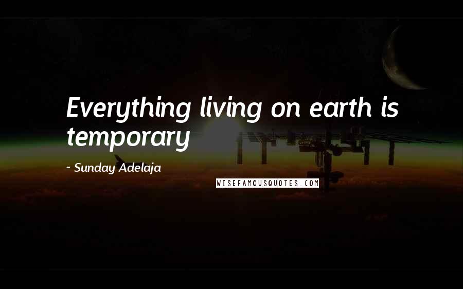Sunday Adelaja Quotes: Everything living on earth is temporary