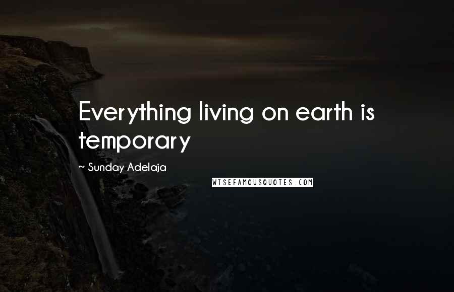 Sunday Adelaja Quotes: Everything living on earth is temporary